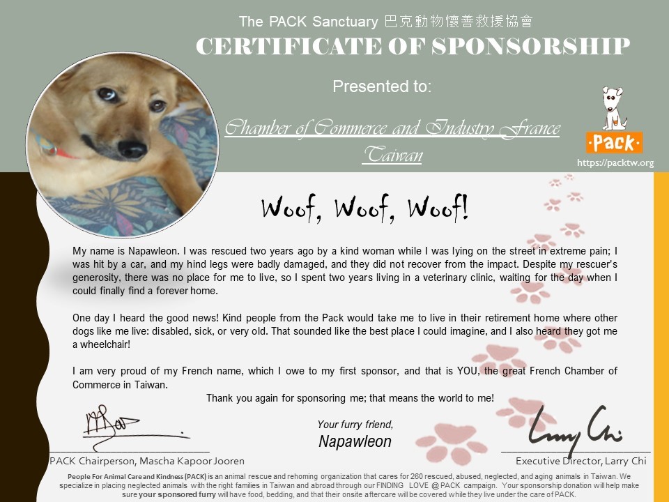 Can A Taiwan Dog Live In Taiwan